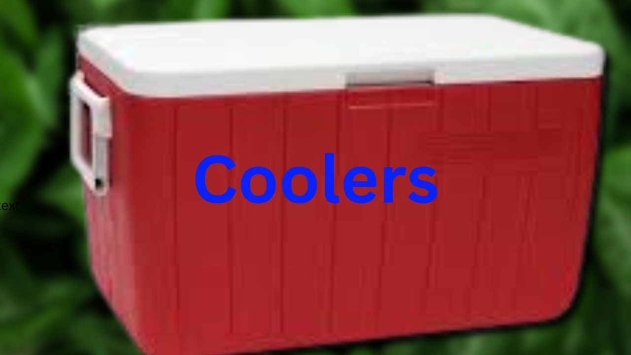 Read more about the article 6 Affordable Camping Coolers to Elevate Your Outdoor Fun